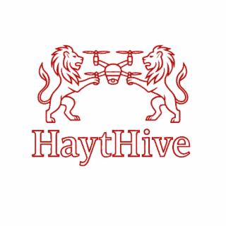 HAYTHIVE logo