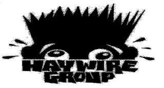 HAYWIRE GROUP