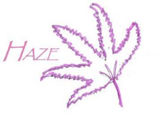 HAZE logo