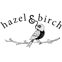 HAZEL & BIRCH logo