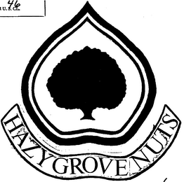 HAZY GROVE NUTS logo