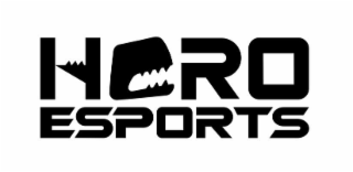 HCRO ESPORTS logo