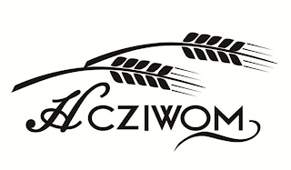 HCZIWOM logo