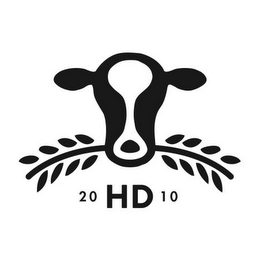 HD 2010 logo
