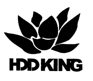 HDD KING logo