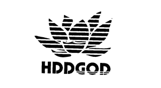 HDDGOD logo