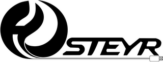 HDSTEYR logo