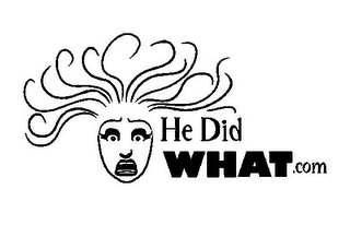 HE DID WHAT.COM logo