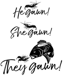 HE GAWN! SHE GAWN! THEY GAWN! logo