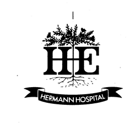 HE HERMANN HOSPITAL logo