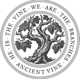 HE IS THE VINE · WE ARE THE BRANCHES · ANCIENT VINE · logo
