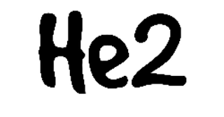 HE2 logo