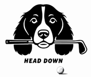 HEAD DOWN logo