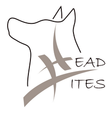 HEAD-LITES logo