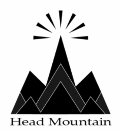 HEAD MOUNTAIN logo