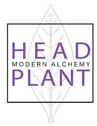 HEAD PLANT MODERN ALCHEMY logo