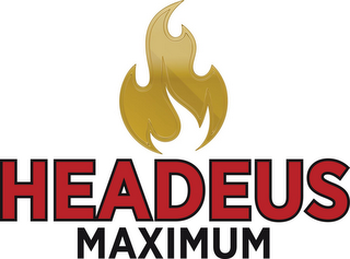 HEADEUS MAXIMUM logo