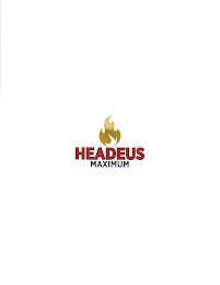 HEADEUS MAXIMUM logo