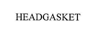 HEADGASKET logo