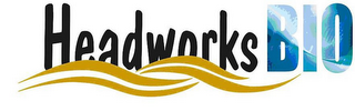 HEADWORKSBIO logo