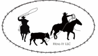 HEAL-IT LLC logo
