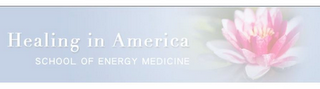 HEALING IN AMERICA SCHOOL OF ENERGY MEDICINE logo