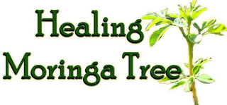 HEALING MORINGA TREE logo