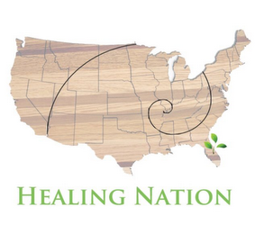 HEALING NATION logo