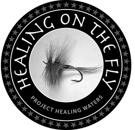HEALING ON THE FLY PROJECT HEALING WATERS logo