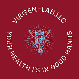 HEALTH CHIROPRACTIC VIRGEN-LAB.LLC YOUR HEALTH I'S IN GOOD HANDS logo