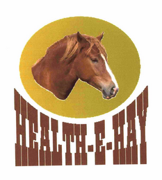 HEALTH-E-HAY logo