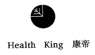 HEALTH KING logo