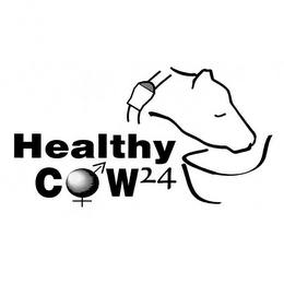 HEALTHY COW 24 logo