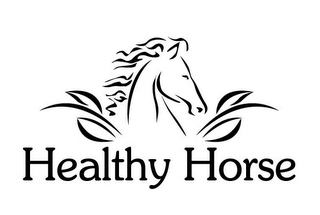 HEALTHY HORSE logo
