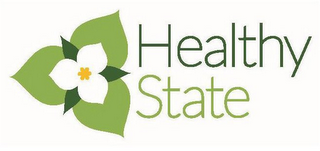 HEALTHY STATE logo