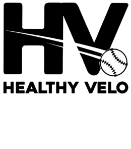 HEALTHY VELO logo