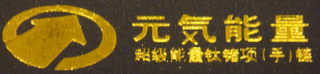 HEALTHY, VIGOUR, PNEUMA ENERGY logo