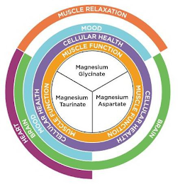 HEART MUSCLE RELAXATION BRAIN BRAIN MOOD MOOD CELLULAR HEALTH CELLULAR HEALTH CELLULAR HEALTH MUSCLE FUNCTION MUSCLE FUNCTION MUSCLE FUNCTION MAGNESIUM GLYCINATE MAGNESIUM TAURINATE MAGNESIUM ASPARTATE logo