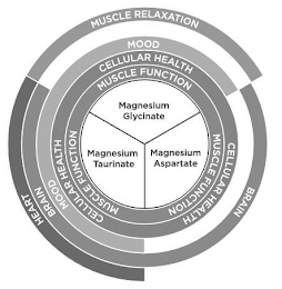 HEART MUSCLE RELAXATION BRAIN BRAIN MOOD MOOD CELLULAR HEALTH CELLULAR HEALTH CELLULAR HEALTH MUSCLE FUNCTION MUSCLE FUNCTION MUSCLE FUNCTION MAGNESIUM GLYCINATE MAGNESIUM TAURINATE MAGNESIUM ASPARTATE logo