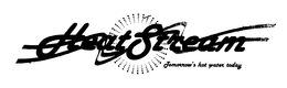 HEAT STREAM TOMORROW'S HOT WATER TODAY logo