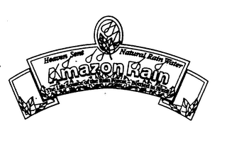 HEAVEN SENT NATURAL RAIN WATER AMAZON RAIN THE LIFE SOURCE OF THE RAIN FOREST - BOTTLED IN BRAZIL logo