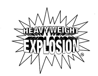 HEAVYWEIGHT EXPLOSION logo