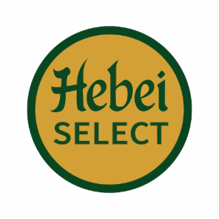 HEBEI SELECT logo