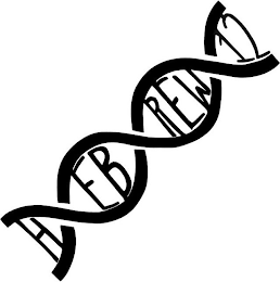 HEBREW12 logo