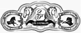 HECHO A MANO 2P LOS 2 POTRILLOS LIGA PRIVADA logo