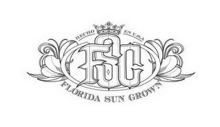 HECHO EN U.S.A FLORIDA SUN GROWN logo