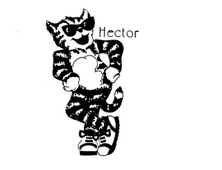 HECTOR logo