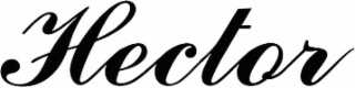 HECTOR logo