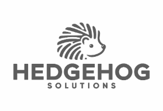HEDGEHOG SOLUTIONS logo