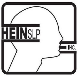 HEIN SLP INC. logo